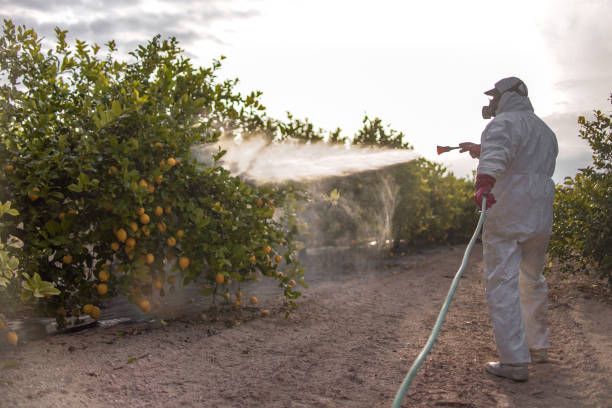 Best Cockroach Control Services  in New Brighton, PA